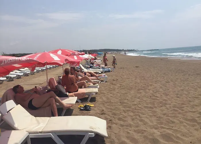 شقة فندقية Safari