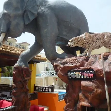 Safari Suit Hotel