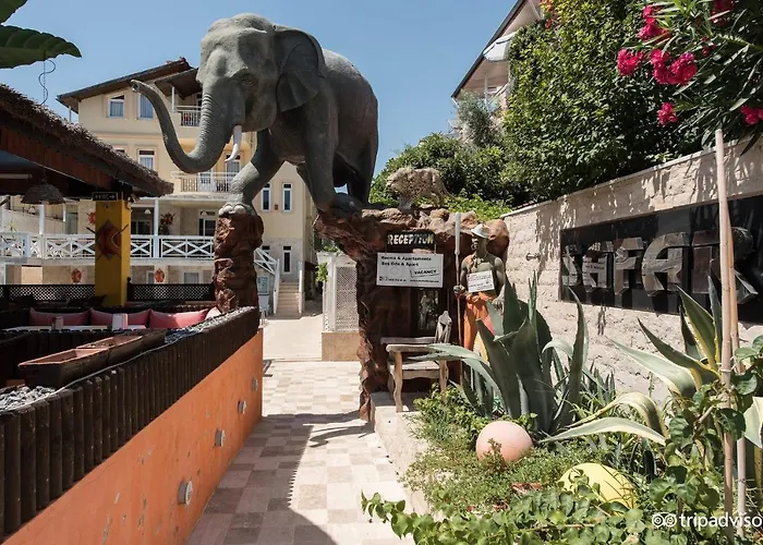 Safari Suit Hotel Aparthotel