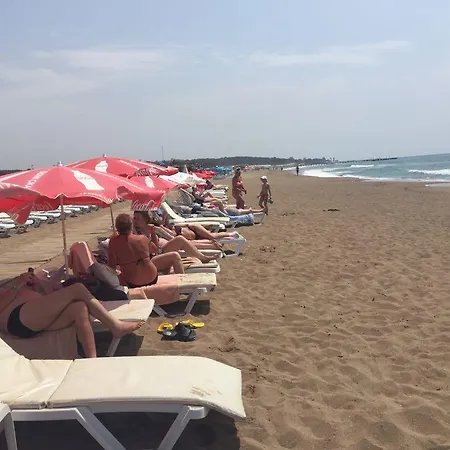 アパートホテル Safari